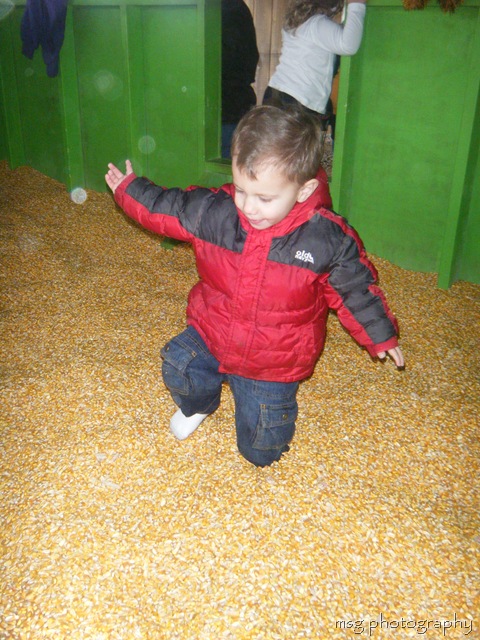 [pumpkin patch 031[13].jpg]