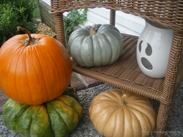 [end sept 015[8].jpg]