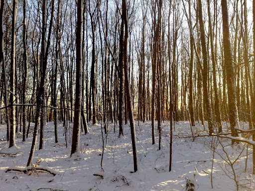 10012009269.jpg