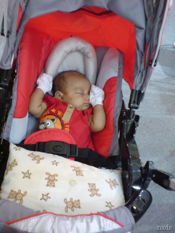 [DSC02074[11].jpg]