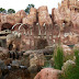 SDC10051.JPG