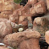 SDC10052.JPG