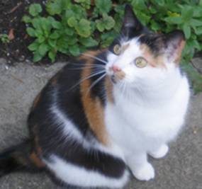 image002.jpg