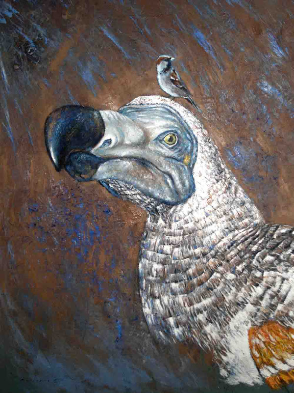 small dodo.jpg