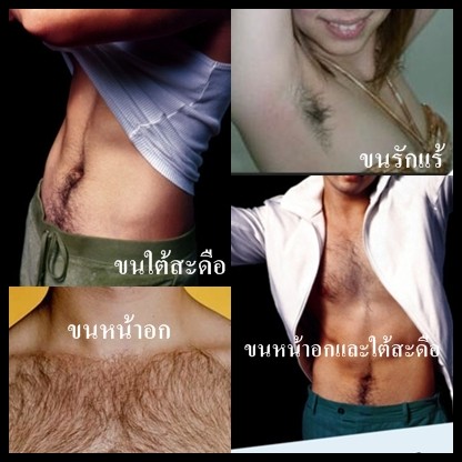Beaute Herb เจลขจัดขน Beaute Herb เจลสมุนไพรกำัจัดขน ไม่ต้องแว็กซ์ ไม่ต้องโกน ไม่ต้องถอนให้เจ็บอีกต่อไป
