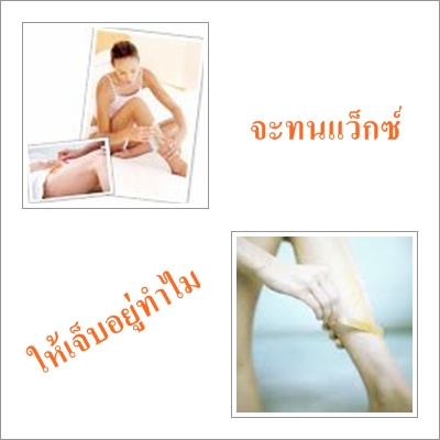 Beaute Herb เจลขจัดขน Beaute Herb เจลสมุนไพรกำัจัดขน ไม่ต้องแว็กซ์ ไม่ต้องโกน ไม่ต้องถอนให้เจ็บอีกต่อไป