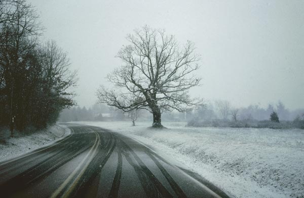 [snowy-road[4].jpg]
