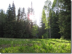 west elk backpacking 026