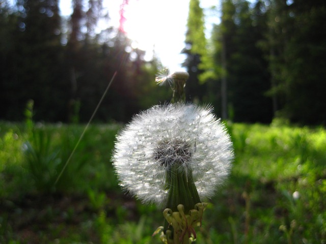 [west elk backpacking 029[2].jpg]