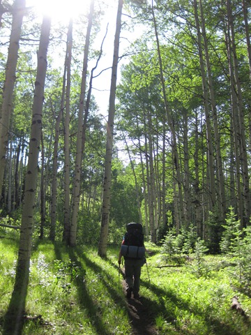 [west elk backpacking 118[2].jpg]