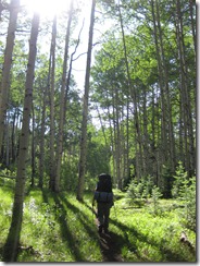 west elk backpacking 118