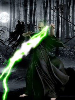 [free-Voldemort-wallpaper[3].jpg]