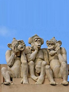 [3-monkey[2].jpg]
