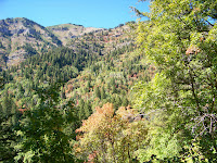 100_0911.JPG (Brachipad Summer Home Area, Utah, United States) Photo