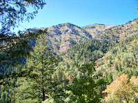 100_0912.JPG (Brachipad Summer Home Area, Utah, United States) Photo