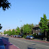 DSC00557.JPG