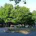 DSC00590.JPG