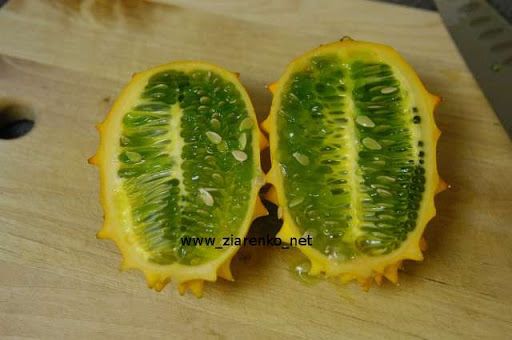 Kiwano Cucumis metuliferus