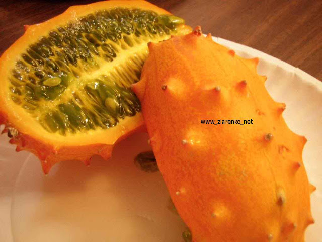 Kiwano Cucumis metuliferus