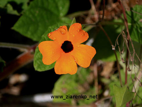 http://lh3.ggpht.com/_Sk1BvEVaxbs/TBfLpNpjXHI/AAAAAAAAB7o/RIMKha8kzXM/4575370067_645eec640a.jpg