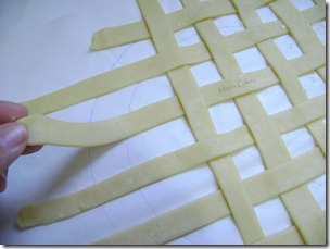 enrejado para pies (7)
