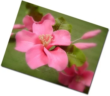 gumpaste flower, pasta de goma