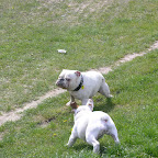 Győr 2010.04.18 064.JPG