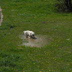 Győr 2010.04.18 063.JPG