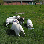 Győr 2010.04.18 193.JPG