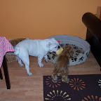 100_3423.JPG