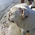 DSC00401.JPG