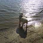 DSC00373.JPG