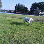 DSC00423.JPG