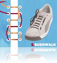 Bush Walk