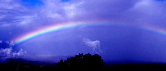 [rainbow-angel -sm[3].jpg]