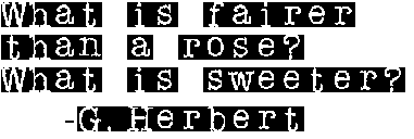 text_rphf text_rphf