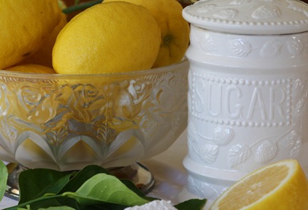 lemon9 lemon9
