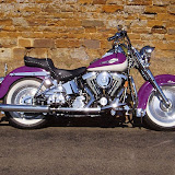 Our Motorcycles