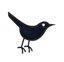 Follow Me on Twitter