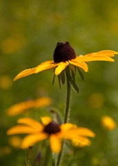 web_IMG_4908