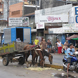 ...and horses having a snack right in the middle of it all.