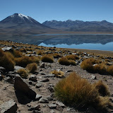 Laguna Miscanti