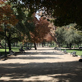 Parque Forestal