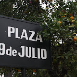The central plaza in Salta, surrounded by citrus trees