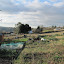 ascorbic's Tamar Allotment garden