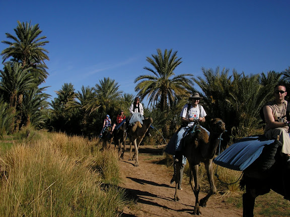 Riding through an oasis