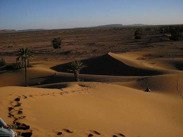 From the top of a nearby sand dune