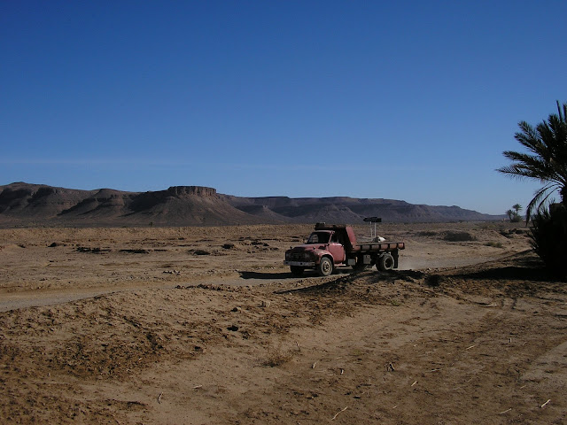 A truck passed by the road near the oasis