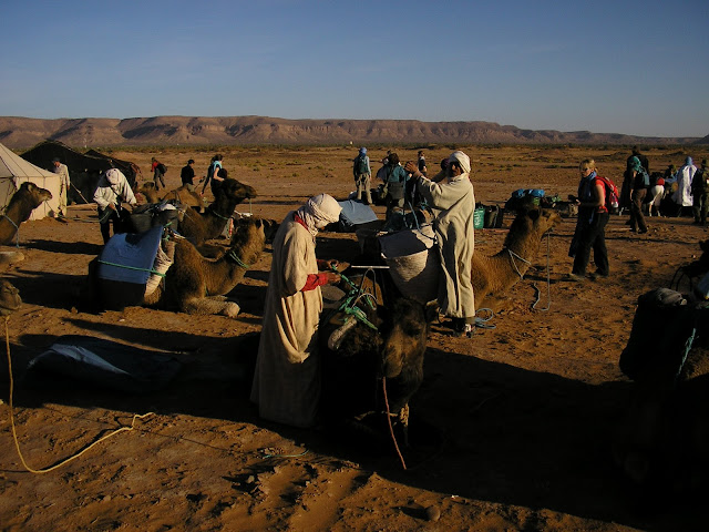 Cameleers unloading the camels for the night