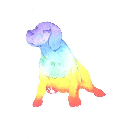 [cachorro (Large)[13].jpg]